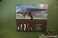 VBS_0985 - Dinosauri. Terra dei giganti